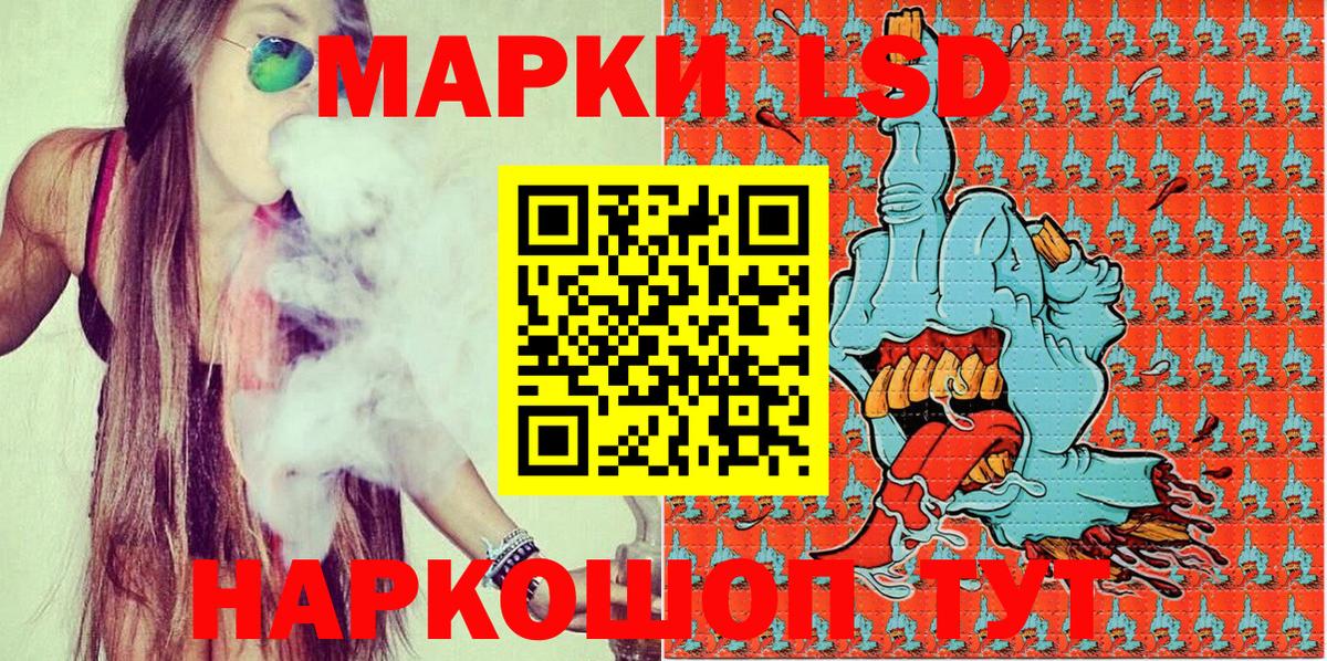 Наркотические марки 1500мкг  Вход с VPN  Наркотические марки 1500мкг  Бердск 