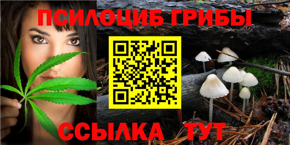 Галлюциногенные грибы ЛСД Бердск