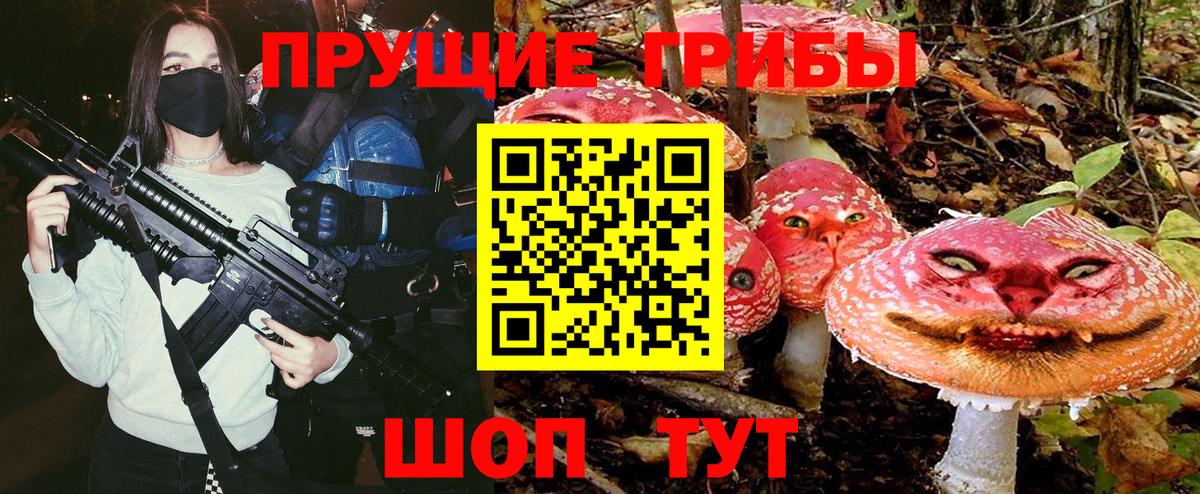 Бердск  Галлюциногенные грибы прущие грибы  Вход с VPN 