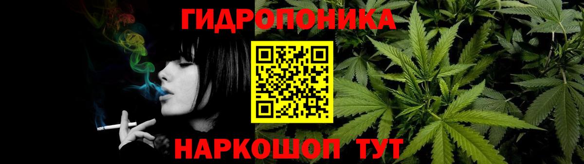 Бердск  Каннабис сатива  Бошки марихуана ГИДРОПОН  Вход с VPN  Бошки марихуана Bruce Banner 